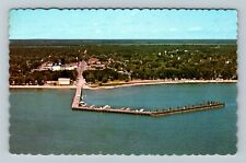 East Tawas MI-Michigan, Public Dock and Beach, Aerial View, Vintage Postcard picture