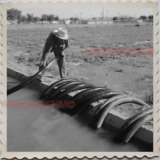 50s PHOENIX CITY MARICOPA COUNTY ARIZONA COTTON FARM MAN VINTAGE USA Photo 11630 picture