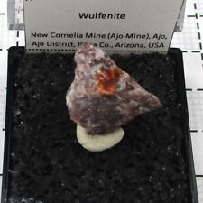 03112 Wulfenite New Cornelia Mine Arizona Rare Mineral Thumbnail TN picture