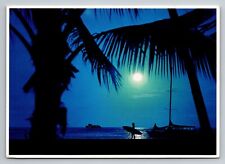 Beach Surfer Sunset Vintage Posted 1984 Orlando Florida Postcard picture