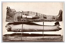 Egyptian Mummy Case Field Museum Chicago Illinois IL UNP DB Postcard Q24 picture