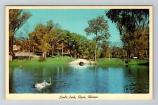 Elgin IL-Illinois Lord's Park  Vintage Souvenir Postcard picture