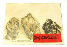 Anvil Creek 1904 Largest Nuggets Found Nowell Original Sepia Photo 10 x 8 inch  picture