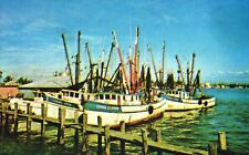 Shrimp Boats Ft Myers Beach Florida Posted Vintage Chrome Post Card picture