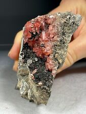 SS Rocks -  Rhodochrosite,  Fluorite, Niotocite  (Uchucchacua Mine, Peru) 226g picture