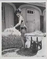 Deborah Walley (1960s) ❤ Leggy Cheesecake Swimsuit - Rare Vintage Photo K 136 picture