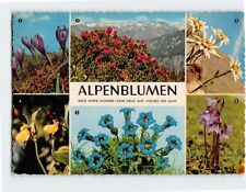 Postcard Alpenblumen Wild Alpine Flowers picture