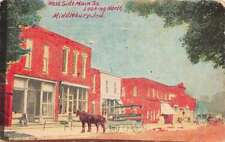 Middlebury Indiana West Side Main St., Looking North Hand Colored Litho. PC U26 picture
