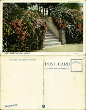 Wild Roses along stairway Portland Oregon OR 1920s picture