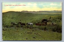 C.1910 SILVER CITY, NM, TEN MULE HAUL SUPPLIES MINE PUB. ARTS SHOP Postcard P26 picture