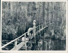 1950 Press Photo Girls on Catwalk Footbridge Cypress Swamp Highlands Hammock Pk picture