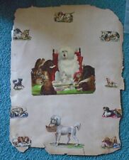 1800s antique victorian die cut SCRAPBOOK PGS Whippet Poodle dog anthropomorphic picture