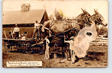Postcard Exaggeration ©WH Martin 1909 Giant Mules Real Photo (big water splotch) picture