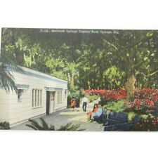 Vintage Sanlando Spring Tropical Park Orlando Florida People Bench Postcard D190 picture