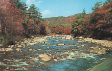 Trent River Ontario Canada, McLaughlin's Fishing, Vintage Postcard picture