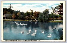 The White Squadron Roger Williams Park Providence RICT American Art Unp Postcard picture