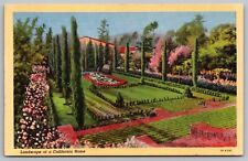 California Home Garden Linen Vintage Postcard picture