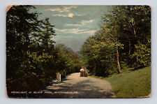 DB Postcard Huntingdon PA Pennsylvania Moonlight in Blair Park ANC Newvochrome picture