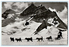 c1950's Jungfrau Polar Dogs Against Munchsjoch Switzerland RPPC Photo Postcard picture