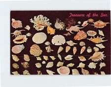 Postcard Treasure of the Sea picture