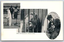 Buffalo NY~Morning Express~Park Zoo Series~Polar Bear~Grizzly Bear~c1905 PC picture