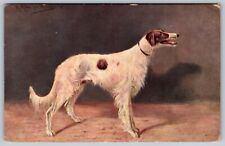 Animals Muller Dog Borzoi serie 425 Antique Postcard c. 1910 picture