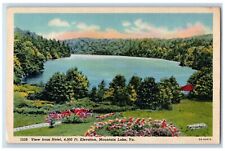 1953 Scenic View From Hotel Elevation Mountain Lake Virginia VA Vintage Postcard picture