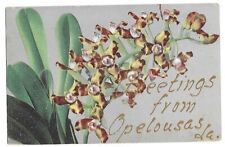 Opelousas, LA Louisiana 1907 Postcard, Greetings From picture