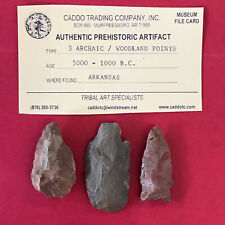 6624 Lot of 3 Authentic Prehistoric Arrowhead Artifact Native Indian Arkansas picture