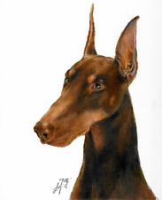 ✤ Original Oil Art DOBERMAN Portrait Painting Artist Signed Artwork DOG PUPPY picture