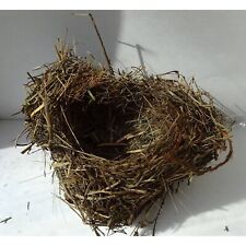 Real Abandoned Bird's Nest nature gift floral arrangement foraged bird nest picture