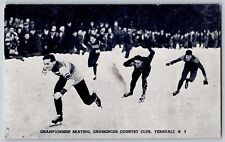 Ferndale, New York - Championship Skating - Vintage Postcard - Unposted picture