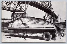 C1940 PC CANAL STRIPER giant fish exaggeration MUNCHAUSEN BASS Cape Cod Canal picture