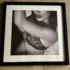 Rare Victoria’s Secret Display Wall Picture 37.5X37.5 Inches picture