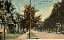 Meadville PA Park Ave Residential Street View Antique Pennsylvania Postcard 1912 picture