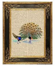 Peacock #5 Art Print on Vintage Book Page Home Wall Hanging Decor Gifts Birds picture