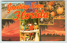 Postcard Greetings From Florida Multi-View picture