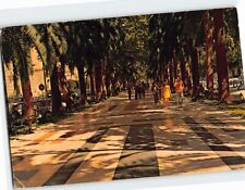 Postcard Park Walk Malaga Spain picture