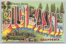 Big Basin Redwood State Park California, Large Letter Greetings Vintage Postcard picture