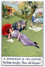 c1910's Honeymoon In The County Hog Kissing Woman Bamforth Unposted Postcard picture