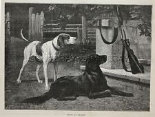 Dog Flat-Coated Retriever & Foxhound Wait to Go Hunting, 1880s Antique Print picture