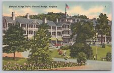 Natural Bridge Virginia, Hotel, Vintage Postcard picture