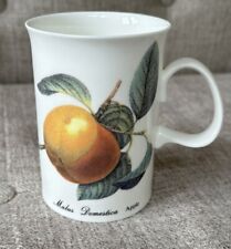 Dunoon Fine Bone China - Apple & Raspberry Coffee Cup Mug (ENGLAND) picture