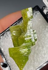 SUPERB LUSTROUS GREEN PYROMORPHITE CRYSTAL: DAOPING MINE, CHINA- GREAT TN picture