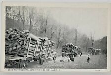 Cooks Falls NY Geo. Treyz Wood Transportation Postcard S1 picture