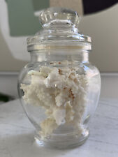Vintage Jar Filled With White Coral Ocean Nautical Souvenir  picture