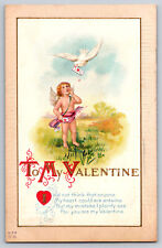 A474 Vintage Valentine Embossed Postcard Wings Dove Flying Valentines Unposted picture