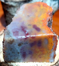 Volcanic Petrified Wood Limb Cast Cube Vivid Purple Yellow Orange @ Depth Inside picture