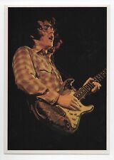 Rory Gallagher Card Panini Pop Stars Sticker 1975 Mini-Poster Vintage Rock #19 picture
