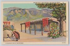 Postcard Southwest Native American Drying Chili & Baking Bread Vintage Unposted picture